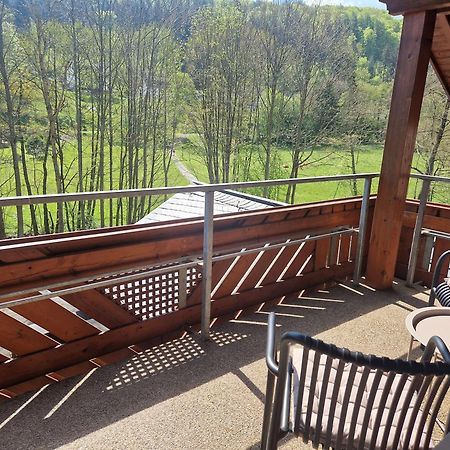 Haus Daut Fewo Mit Hallenbad Willingen  Ngoại thất bức ảnh